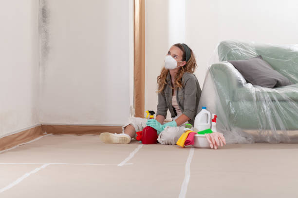 Reliable Mold Remediation contractor in Cambridge, MN by WQB Mold Removal